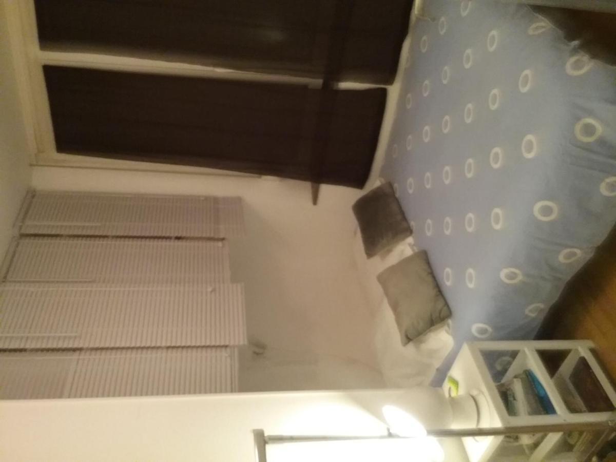 La Petite Victoria -stanislas & Vieille -40m2 Apartment Nancy